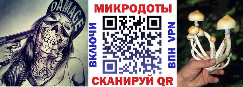где продают наркотики  Печора  Галлюциногенные грибы Psilocybine cubensis 